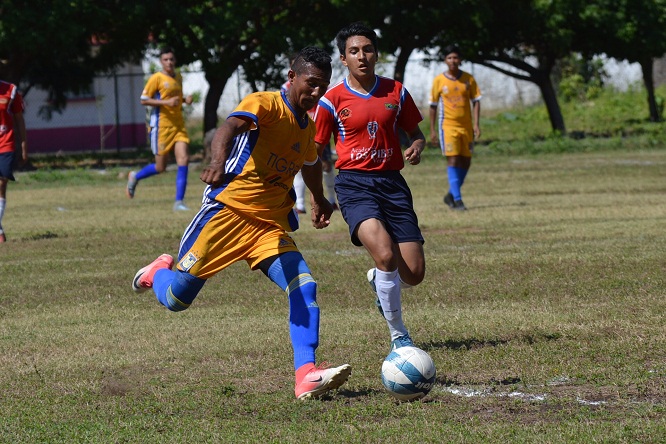 180302tigres1 180302tigres1