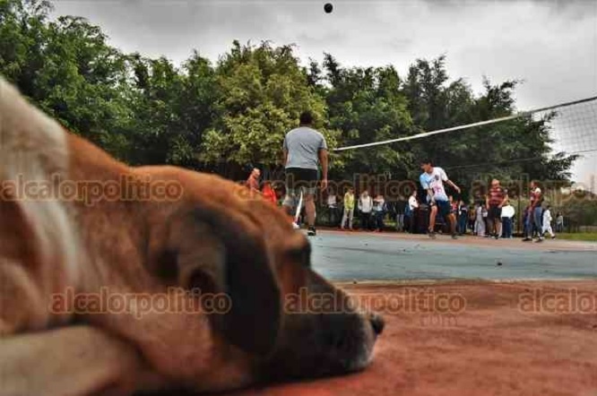 200228deporte3 200228deporte3