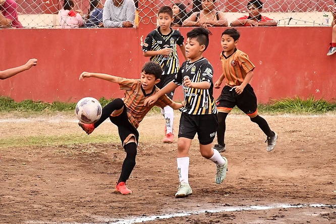 240522fut1