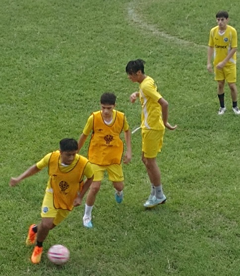 240623visorias2
